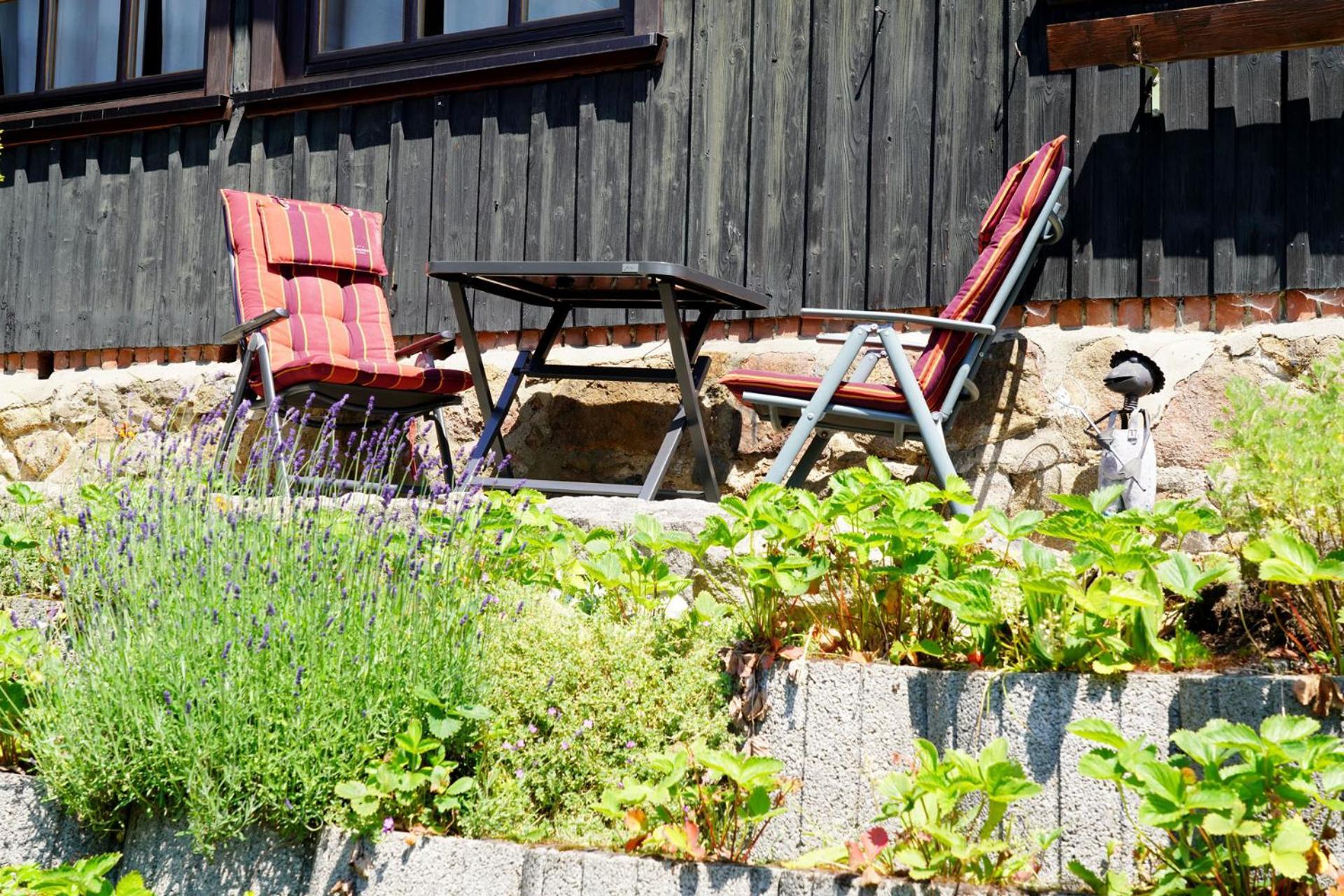 Ferienwohnungen Forellengrund Schierke Exterior foto