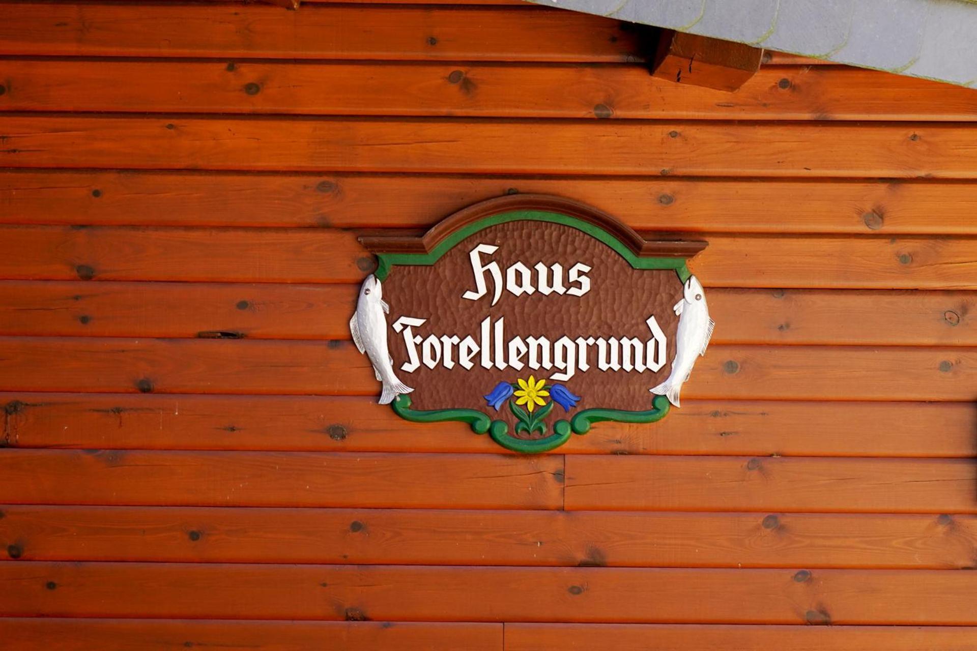 Ferienwohnungen Forellengrund Schierke Exterior foto